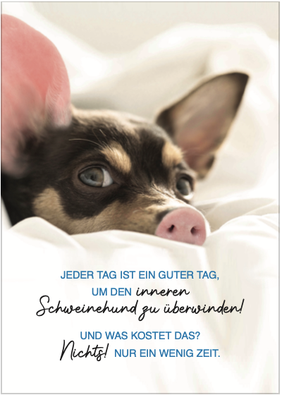 Lesetipps zu Sport & Bewegung