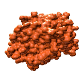 Darstellung eines Therapeutischen Proteins