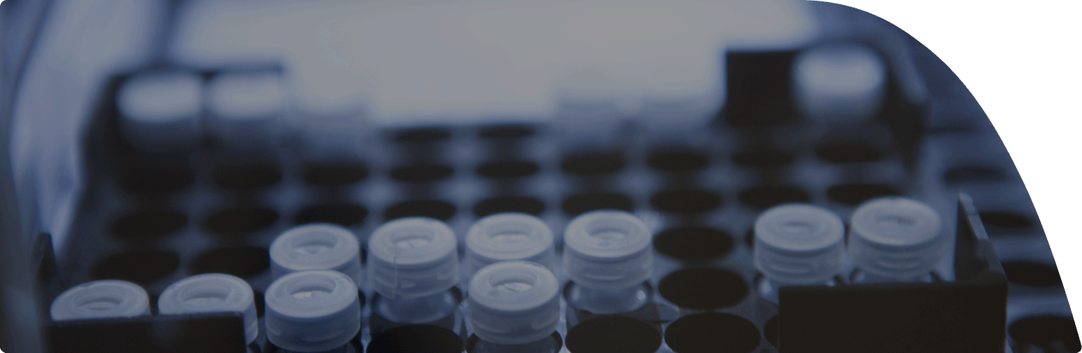 Nahaufnahme von Laborproben in kleinen Glasfläschchen, die in einer Testplatte angeordnet sind.