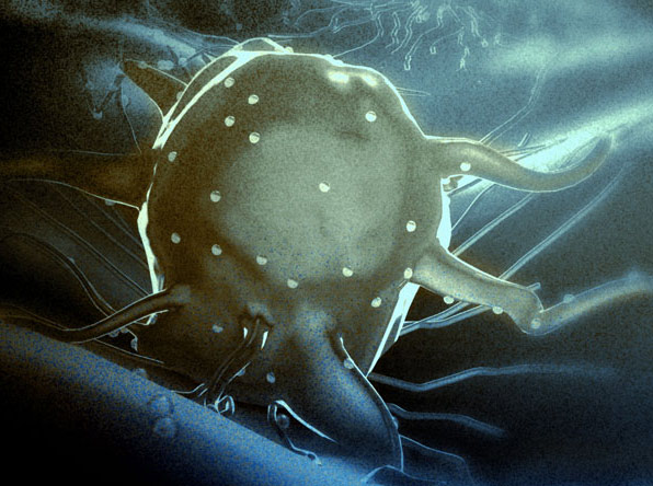 Elektronenmikroskopische Aufnahme einer Krebszelle und ihrer Ausläufer auf einer Zelloberfläche