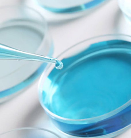 Nahaufnahme einer Pipette, die eine blaue Flüssigkeit in eine Petrischale tropft. Eine weitere Petrischale mit blauer Flüssigkeit ist im Hintergrund teilweise sichtbar.