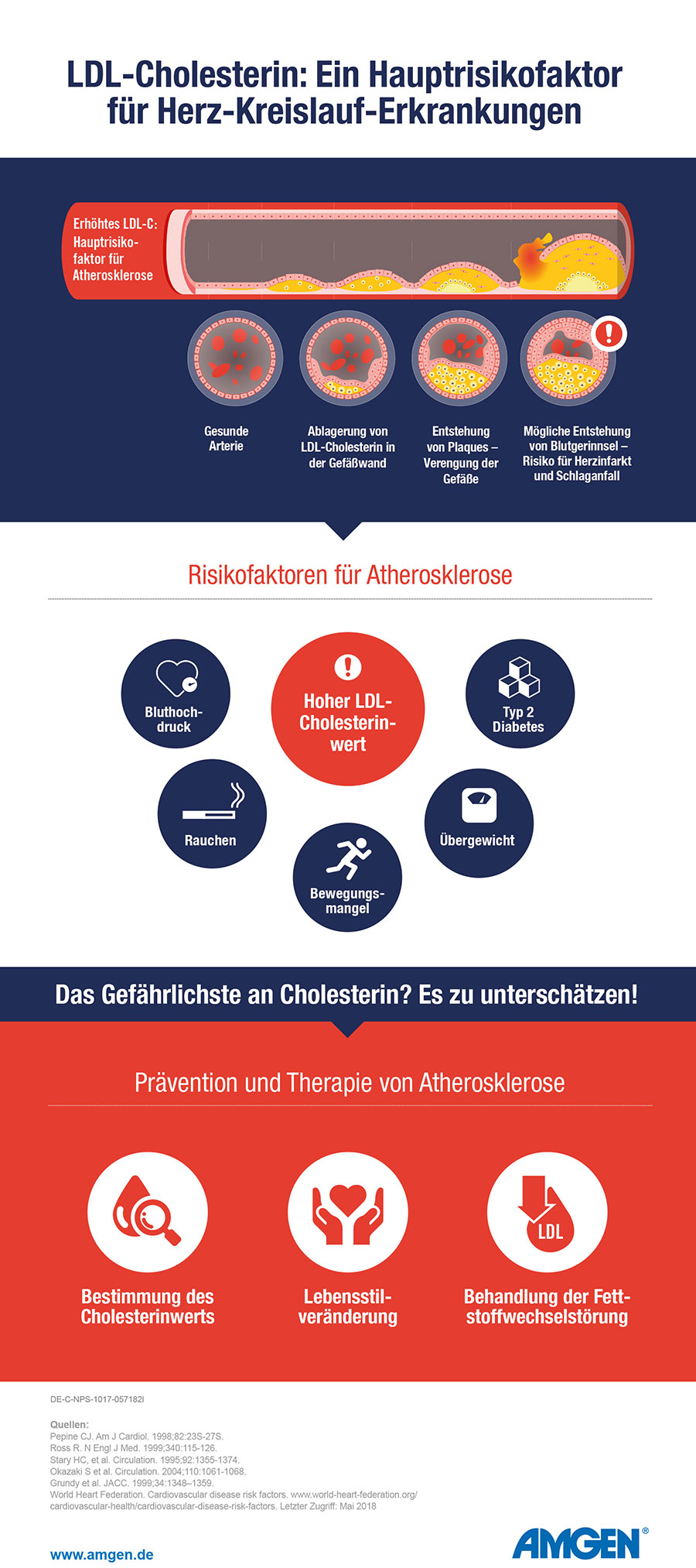 LDL-CHOLESTERIN ALS EINER DER GRÖSSTEN RISIKOFAKTOREN FÜR HERZ-KREISLAUF-ERKRANKUNGEN UNTERSCHÄTZT