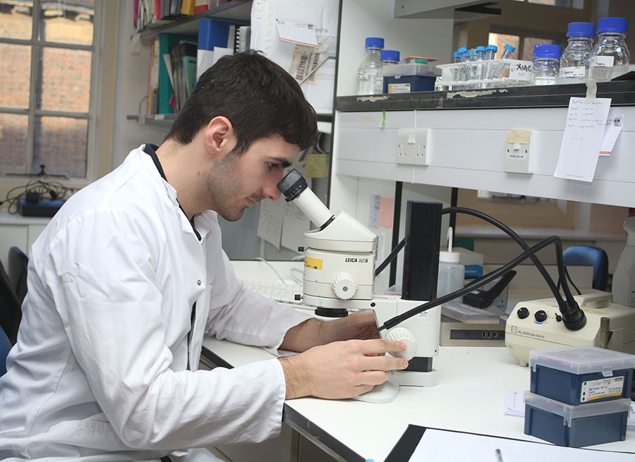 AMGEN SCHOLARS EUROPE PROGRAM